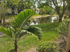 4249 S Carambola Cir S 2698, Coconut Creek FL 33066