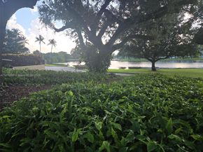 9410 Live Oak Pl 103, Davie FL 33324
