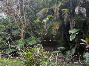 901 SW 19th Ave, Miami FL 33135