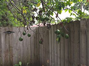 260 NW 133rd St, North Miami FL 33168