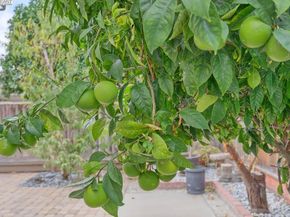 33064 Compton Ct, Union City CA 94587