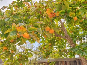 33064 Compton Ct, Union City CA 94587