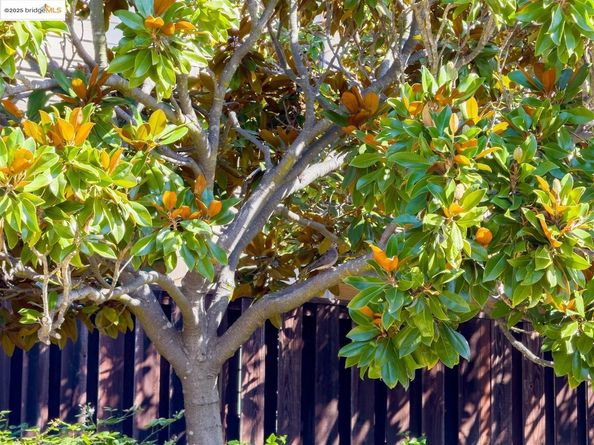 1130 Richmond ST, El Cerrito CA 94530