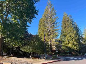 Undisclosed Address #41114570, Walnut Creek CA 94595