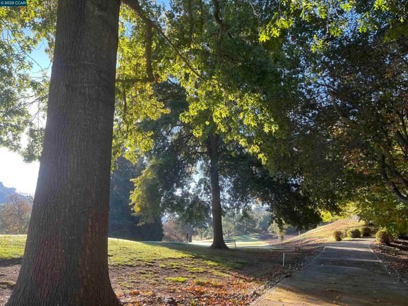 Undisclosed Address #41114570, Walnut Creek CA 94595
