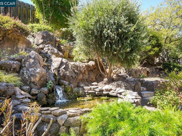 1555 Pebblebrook Ct, Walnut Creek CA 94596