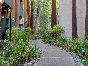 155 Sharene Ln 111, Walnut Creek CA 94596