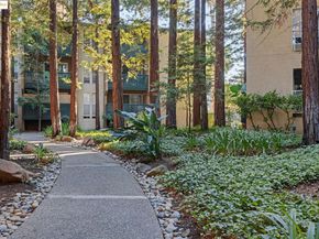 155 Sharene Ln 111, Walnut Creek CA 94596