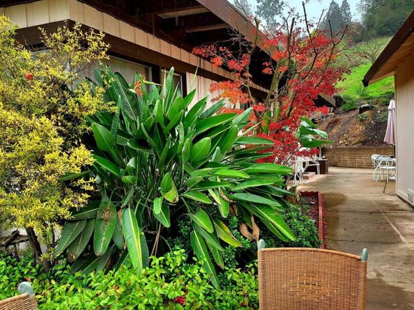 4900 John Muir Rd, Martinez CA 94553