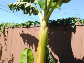 10468 West Court, Oakland CA 94603