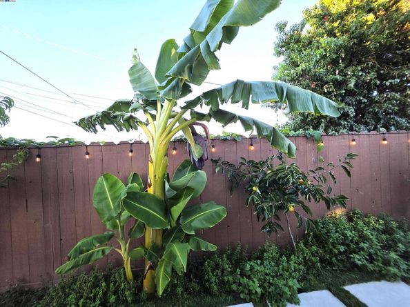 10468 West Court, Oakland CA 94603