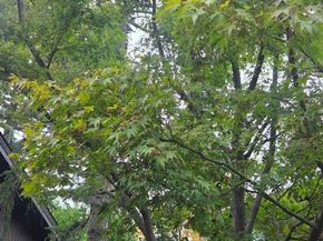 4119 Ravenwood Pl, Castro Valley CA 94546