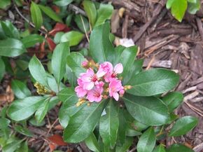 4119 Ravenwood Pl, Castro Valley CA 94546