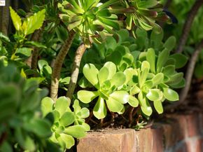 3710 Wisconsin St, Oakland CA 94619