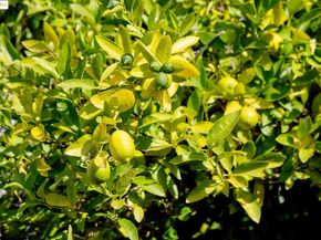 3710 Wisconsin St, Oakland CA 94619