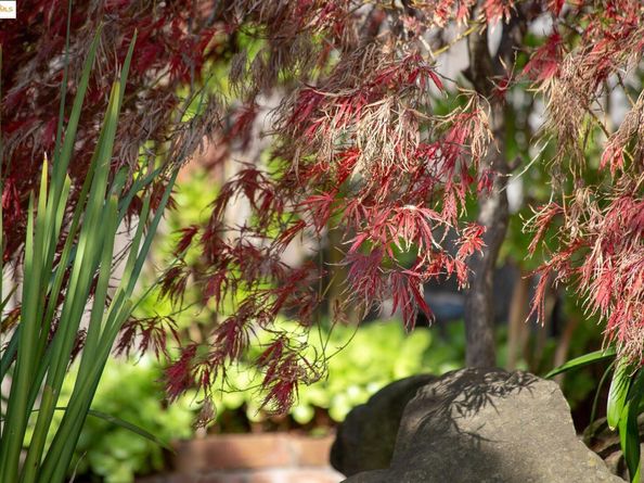 3710 Wisconsin St, Oakland CA 94619