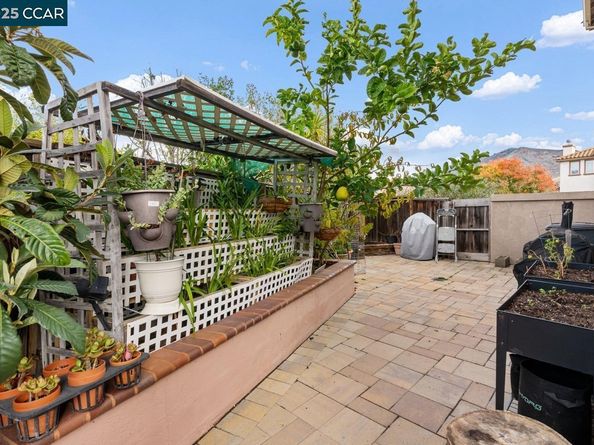 995 Rosehedge Ct, Concord CA 94521