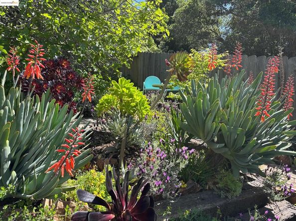 4686 Davenport Ave, Oakland CA 94619