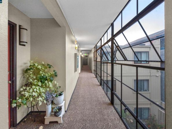 3751 Harrison Street 301, Oakland CA 94611