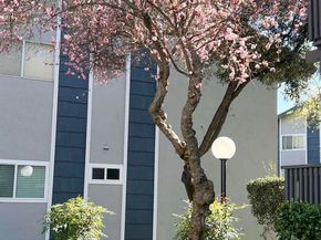 9085 Alcosta Blvd 424, San Ramon CA 94583