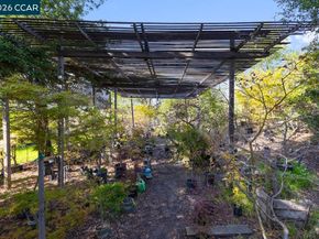 1101 Scots Ln, Walnut Creek CA 94596