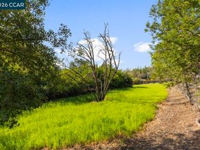 1101 Scots Ln, Walnut Creek CA 94596