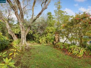 204 El Camino Real, Berkeley CA 94705