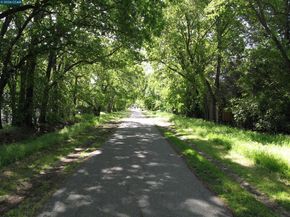 25 Woodland Dr, Alamo CA 94507