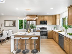 532 Mcduff Ave, Fremont CA 94539