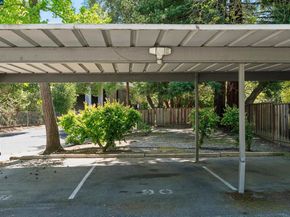 90 Laurel Dr, Danville CA 94526