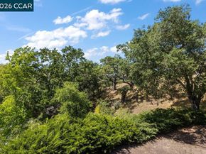 2065 Cactus Ct 3, Walnut Creek CA 94595