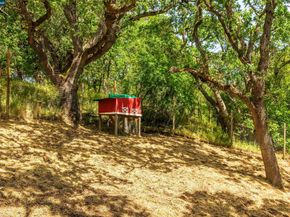 3348 Walnut Ln, Lafayette CA 94549