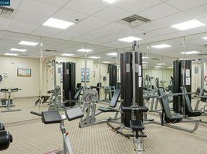1315 Alma Ave 323, Walnut Creek CA 94596