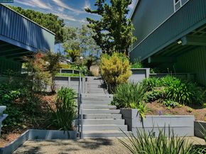 405 Piccadilly Place 24, San Bruno CA 94066