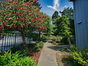 405 Piccadilly Place 24, San Bruno CA 94066
