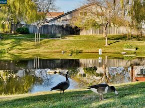 1284 Pinecrest Drive, Concord CA 94521