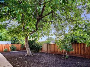 1161 Aspen Dr, Concord CA 94520