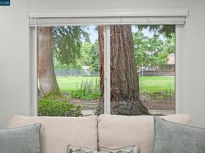 476 Sycamore Cir, Danville CA 94526