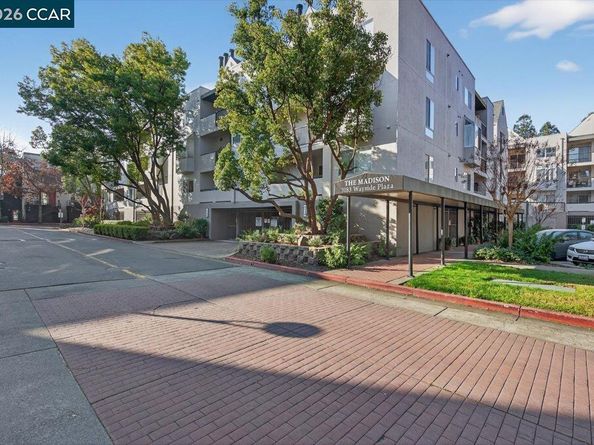 3183 Wayside Plz 311, Walnut Creek CA 94597