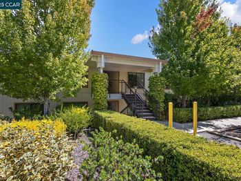 1209 Running Springs