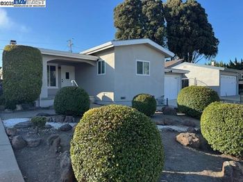 3073 Shane Dr.