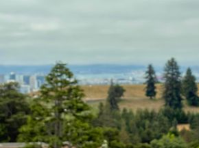 135 Alta Rd, Oakland CA 94618