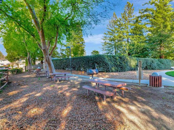 19 Marques Pl, Danville CA 94526