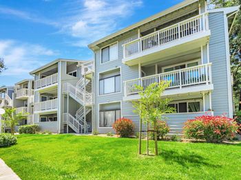 3507 Buttonwood Ter