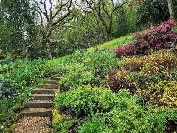 27 Toledo Dr, Lafayette CA 94549