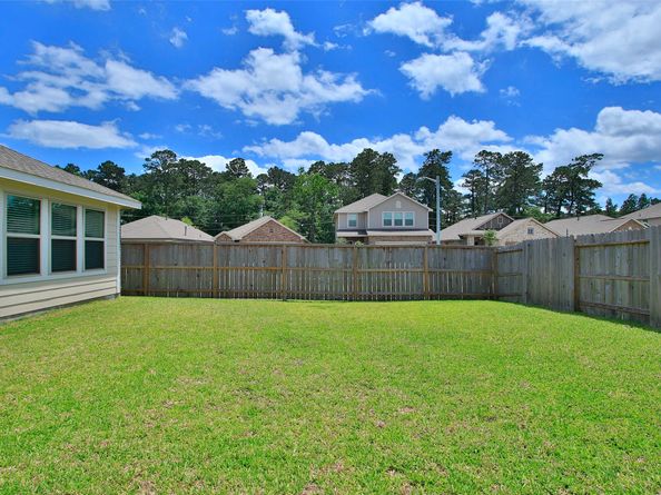 19326 Via Vinovo Court, New Caney TX 77357