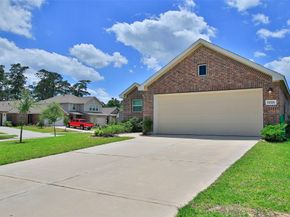 19326 Via Vinovo Court, New Caney TX 77357