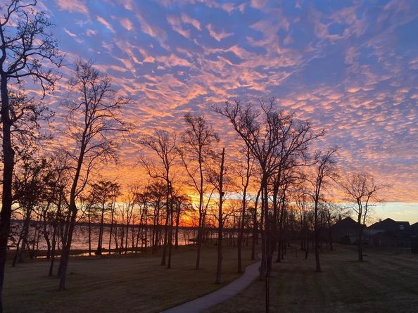 16011 Maple Shores Drive, Houston TX 77044