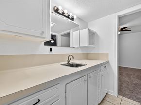 3915 Black Locust Drive, Houston TX 77088