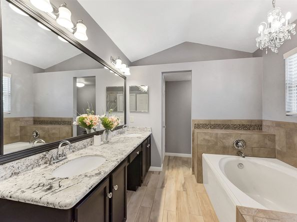 17214 Palm Falls Court, Houston TX 77095